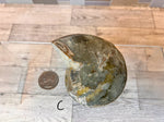 Load image into Gallery viewer, Ammonite Fossil Bowl
