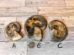 Load image into Gallery viewer, Ammonite Fossil Bowl
